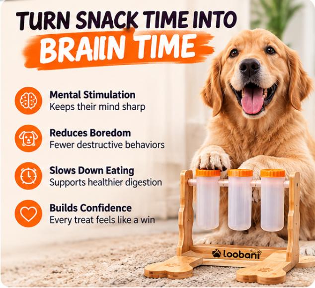 Interactive Treat Puzzle — for Smarter Mealtimes